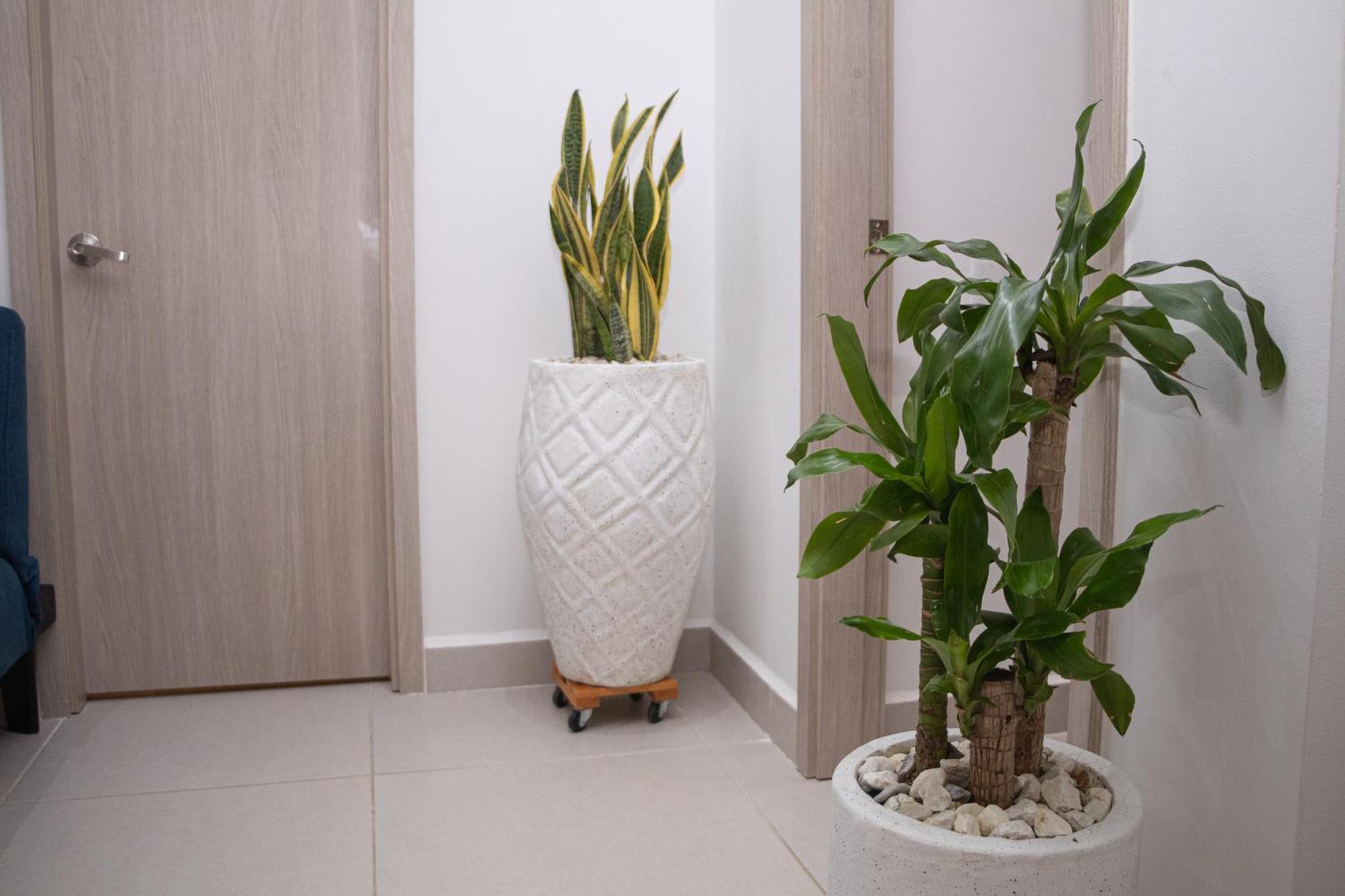 Apartamento De Lujo Frente Al Mar Con Piscina Cartagena Buitenkant foto